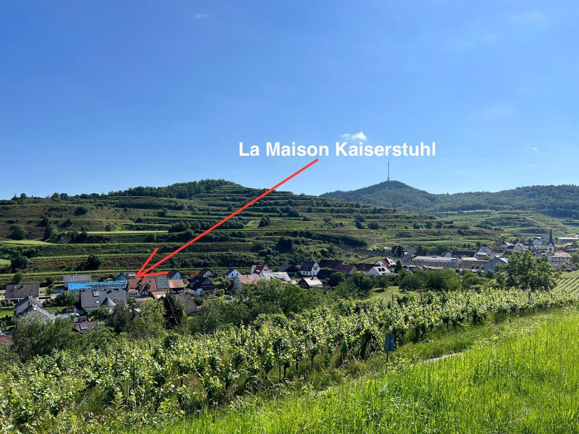 Holiday home La Maison Kaiserstuhl Mit Sauna Vogtsburg